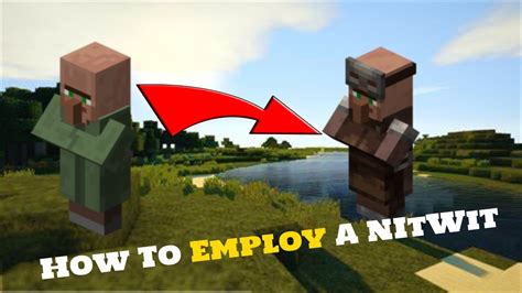 what does a nitwit villager look like.
